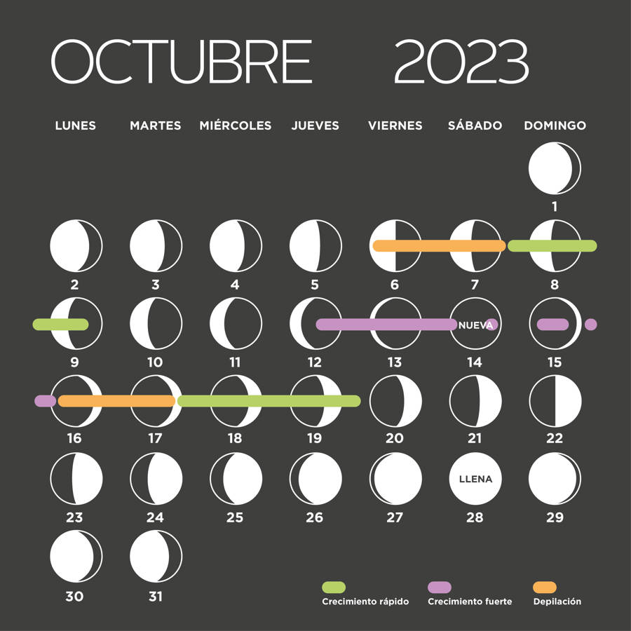 Calendario lunar: octubre 2023 (Fases lunares, siembra y depilación)