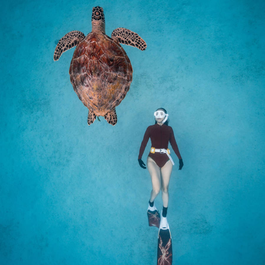 Las 7 fotos más bonitas y fascinantes de animales del Sony World Photography Awards 2023