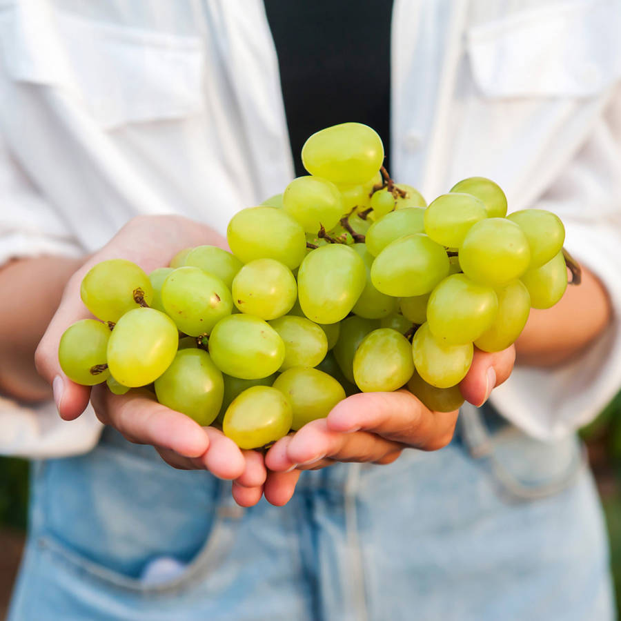 Las 10 frutas y verduras de temporada que en otoño están en su punto (y que evitarán que enfermes)