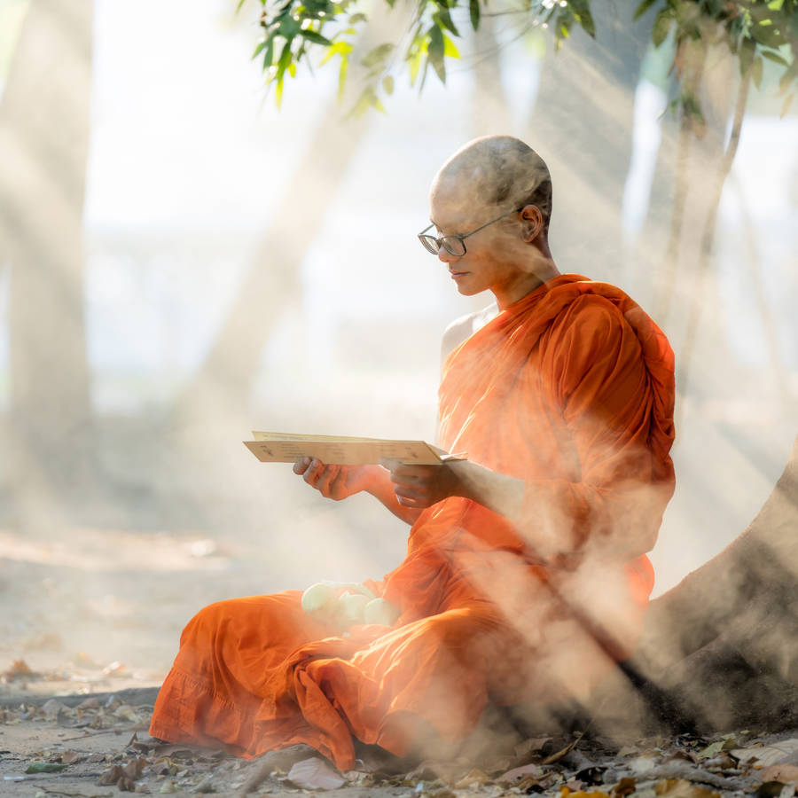 Qué es el budismo y qué enseñanzas nos dan sobre la vida, según el maestro zen Steve Hagen 