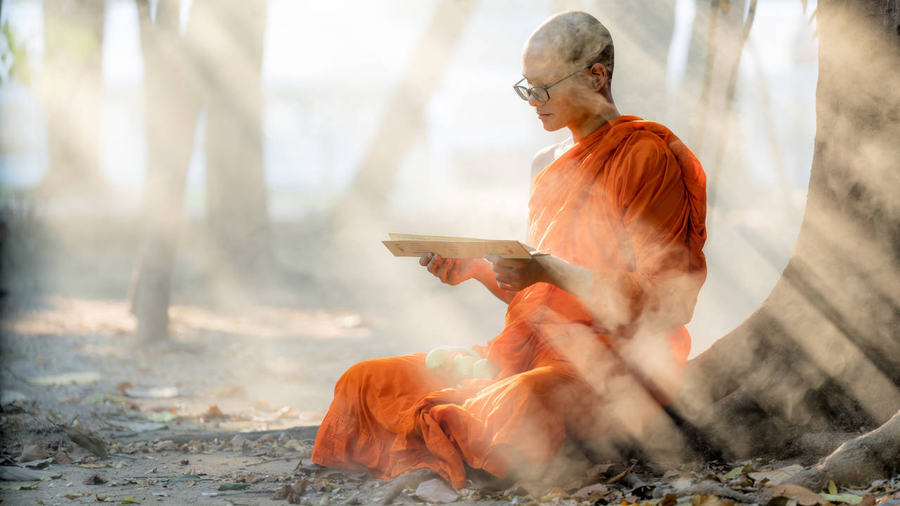 Las 4 verdades sobre el budismo y qué enseñanzas nos dan sobre la vida, según el maestro zen Steve Hagen 