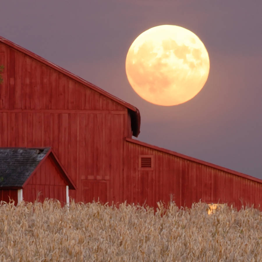 Luna llena de septiembre 2023: la última superluna del año (una luna espectacular según la Nasa)