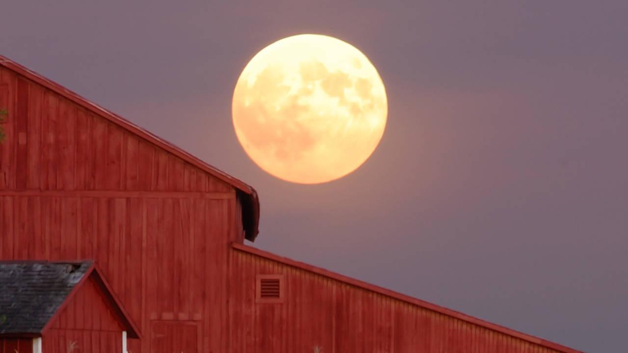 Luna llena de septiembre 2023: la última superluna del año (una luna espectacular según la Nasa)