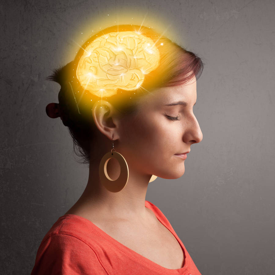 Por qué el sistema límbico o "cerebro reptiliano" es el que domina tus emociones