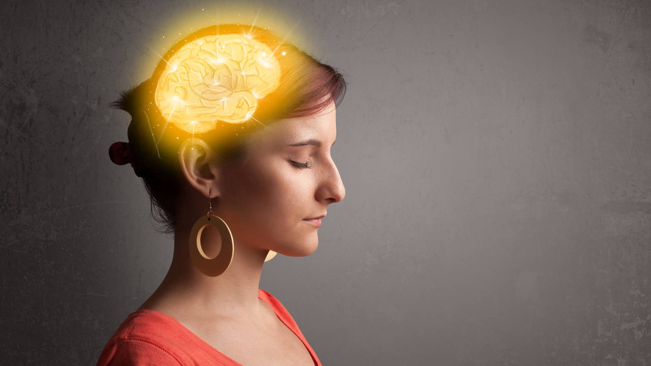 Por qué el sistema límbico o "cerebro reptiliano" es el que domina tus emociones