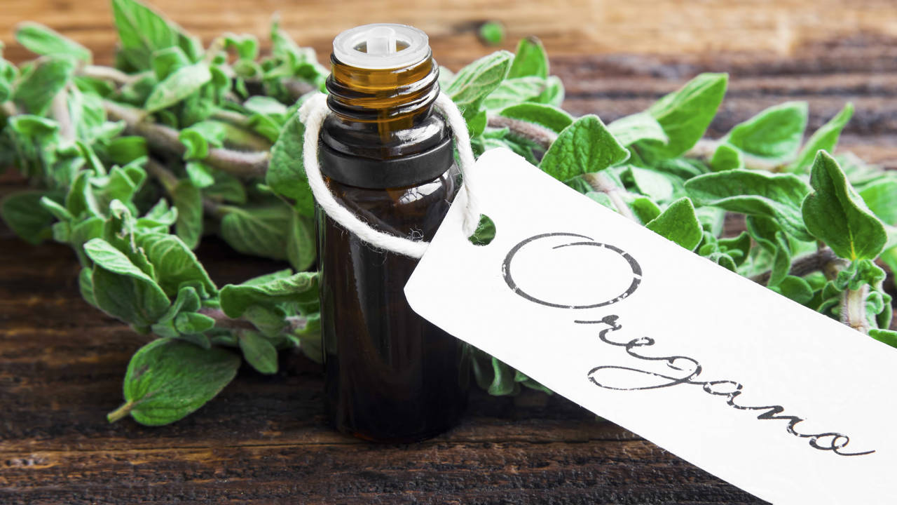 aceite de oregano