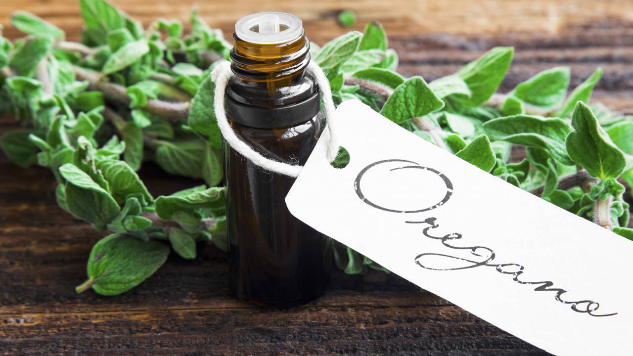 Aceite de orégano: el remedio más eficaz contra la candidiasis y otras infecciones