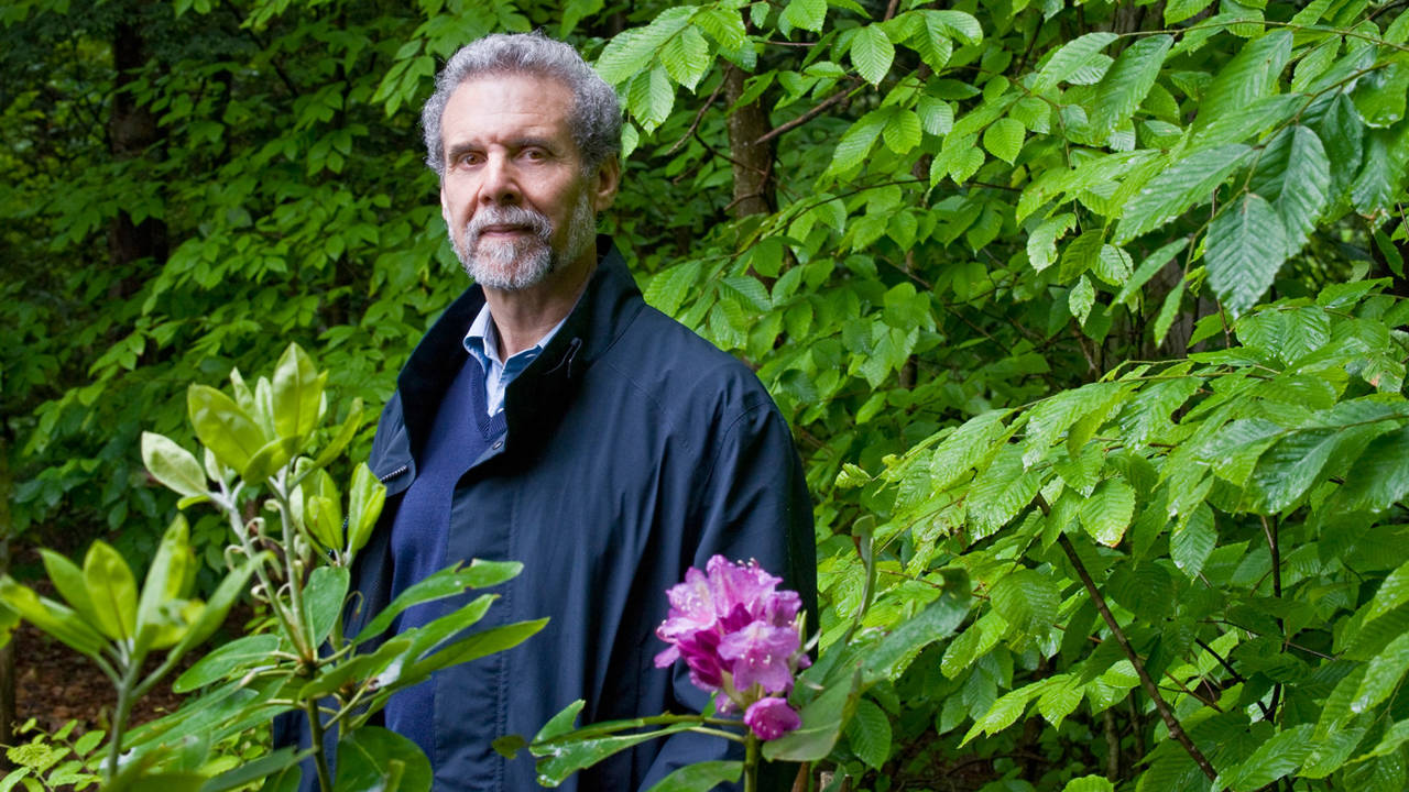 Daniel-Goleman