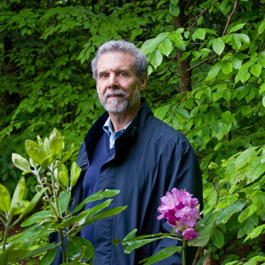 Daniel Goleman: quién es y qué dice su teoría de la inteligencia emocional 