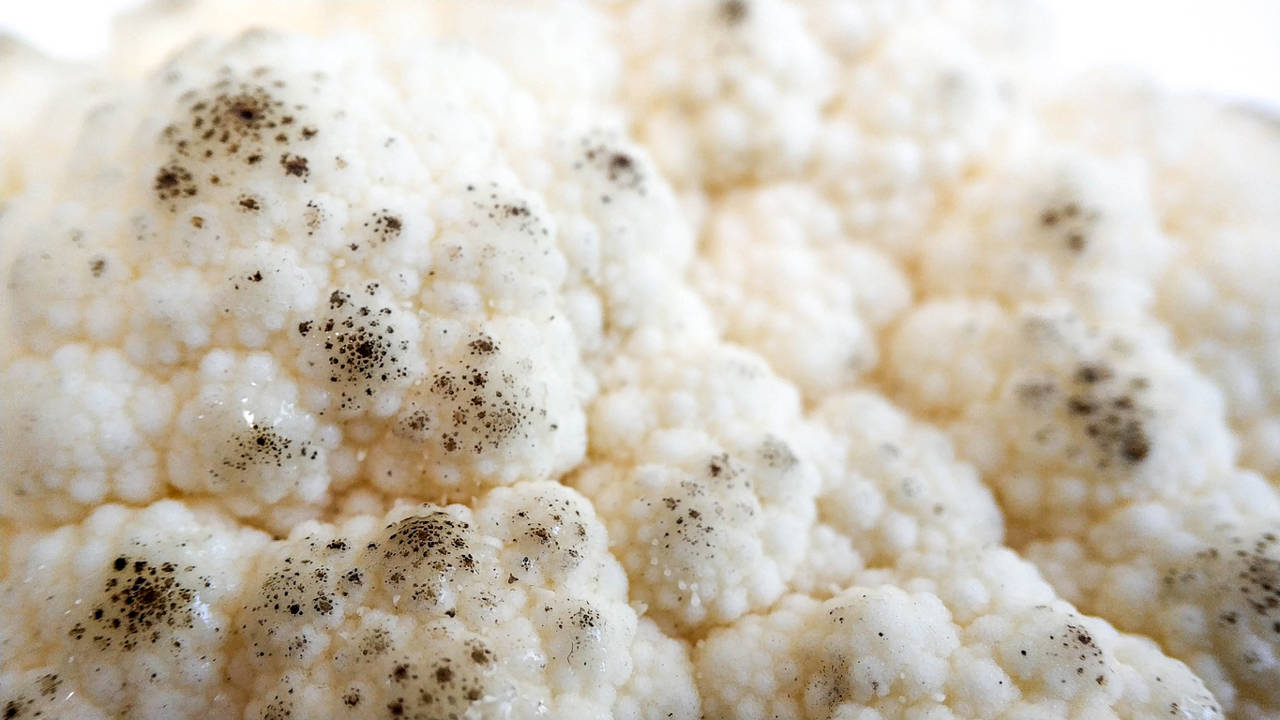 Coliflor con hongos
