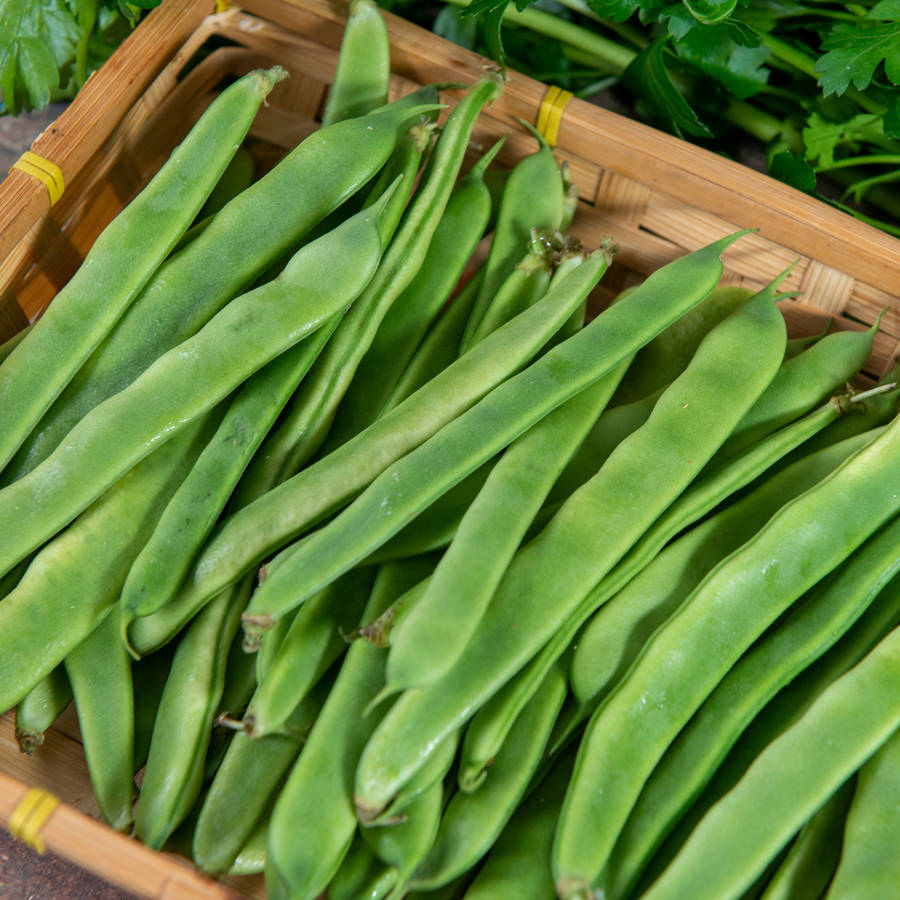 Cómo cocinar las judías verdes para que no queden insípidas: aderezos y recetas