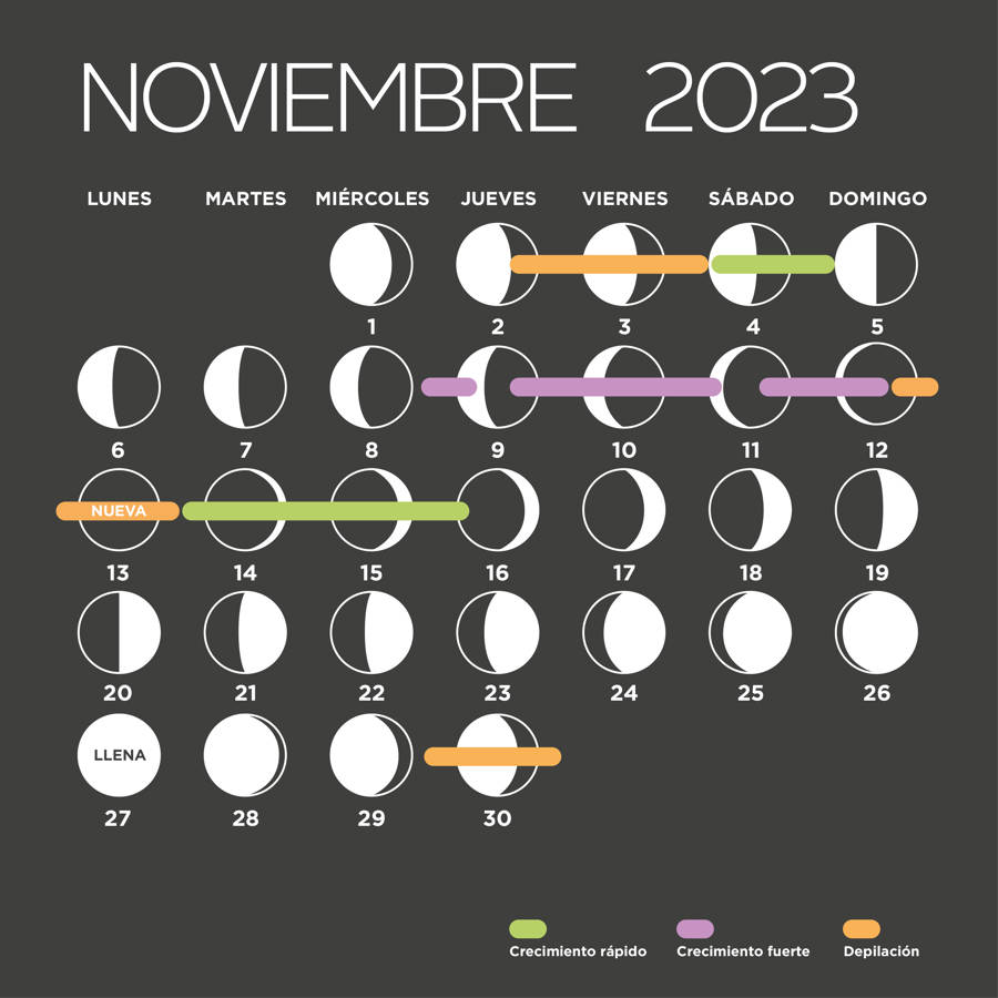 Calendario lunar: noviembre 2023 (fases de la Luna, corte de pelo y depilación)