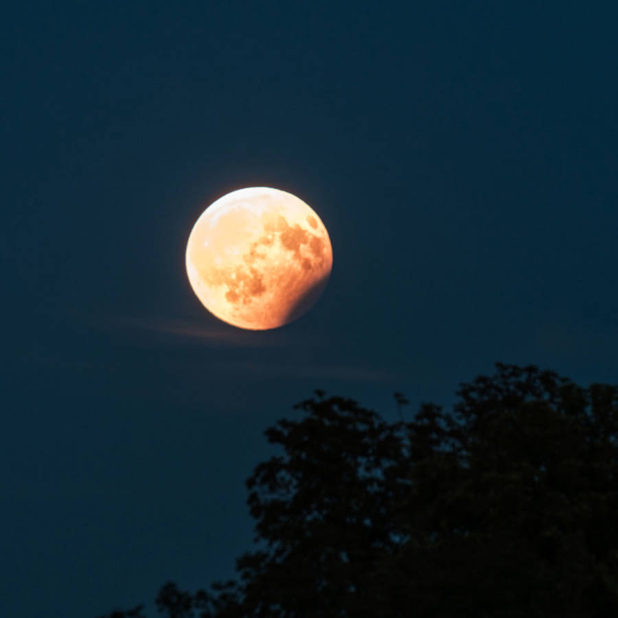 El eclipse lunar de esta semana podrá verse en toda España 