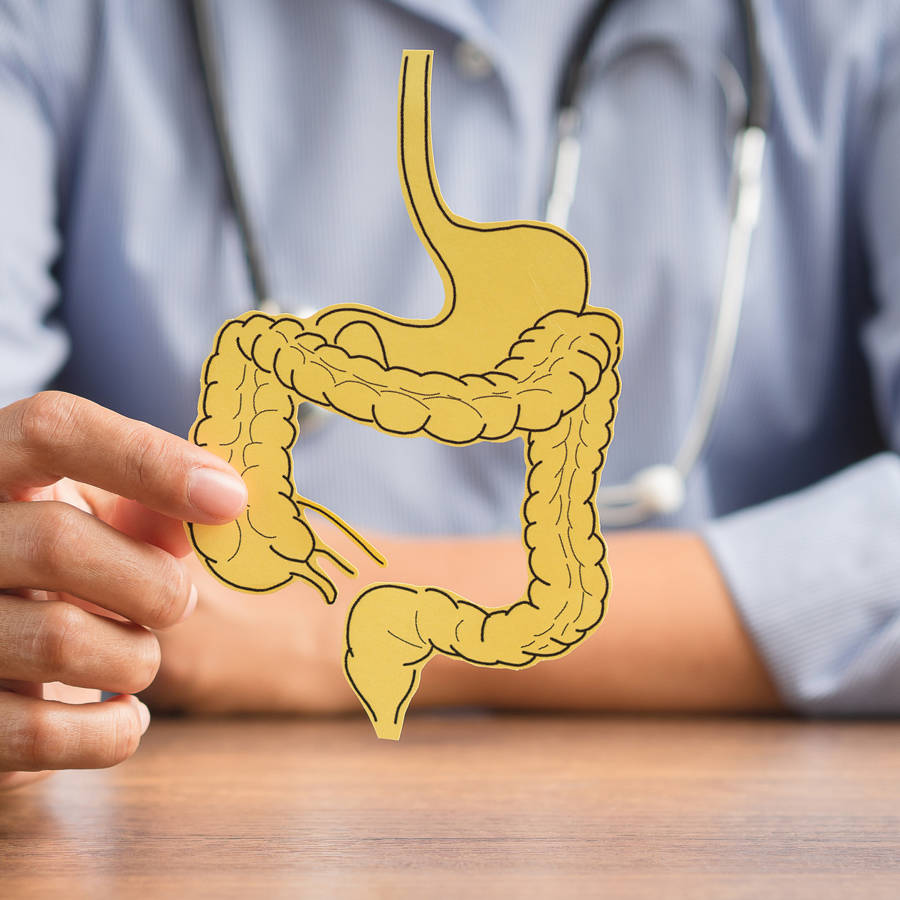 ¿Y si no es SIBO? Las posibles causas del intestino permeable y los síntomas de que la barrera intestinal falla