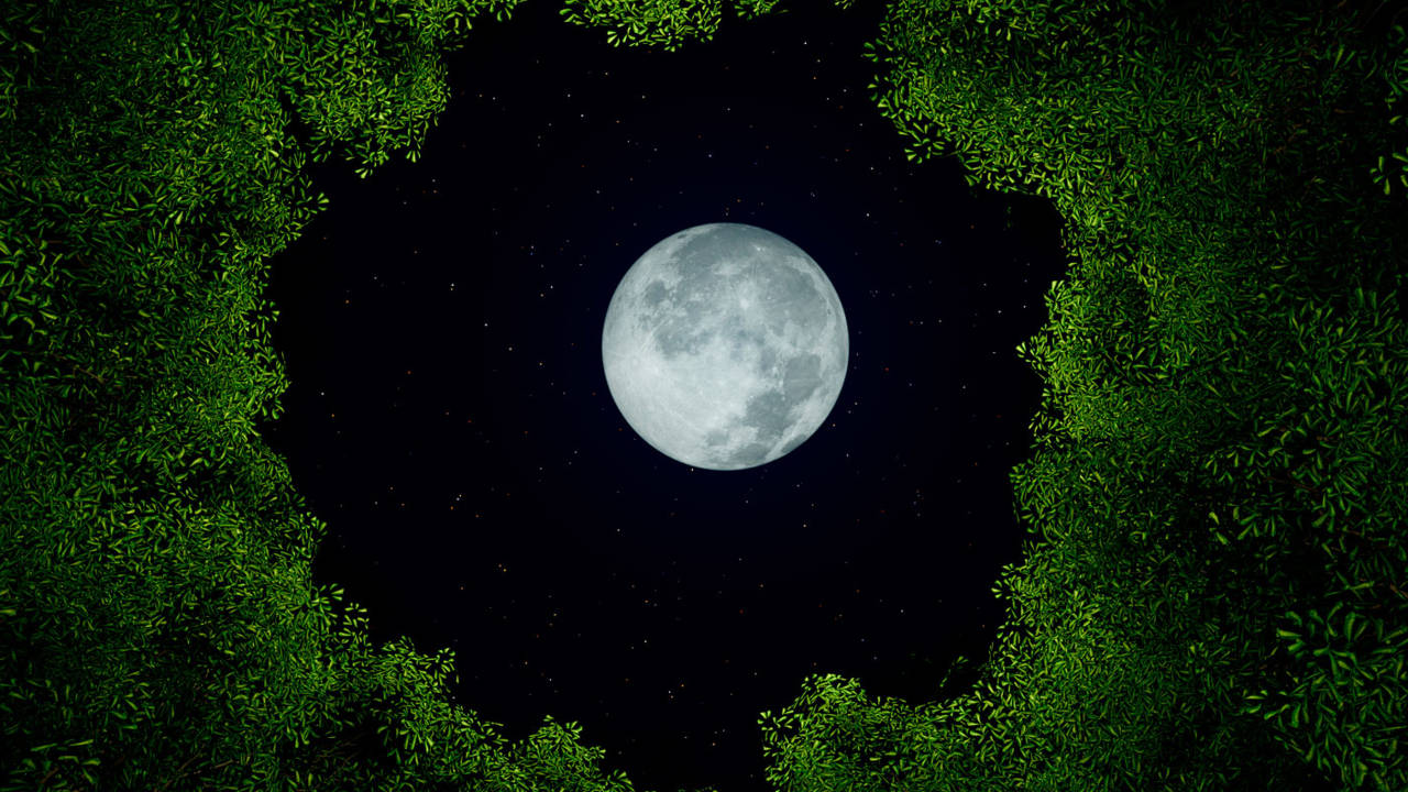 luna llena octubre 2023 luna cazador