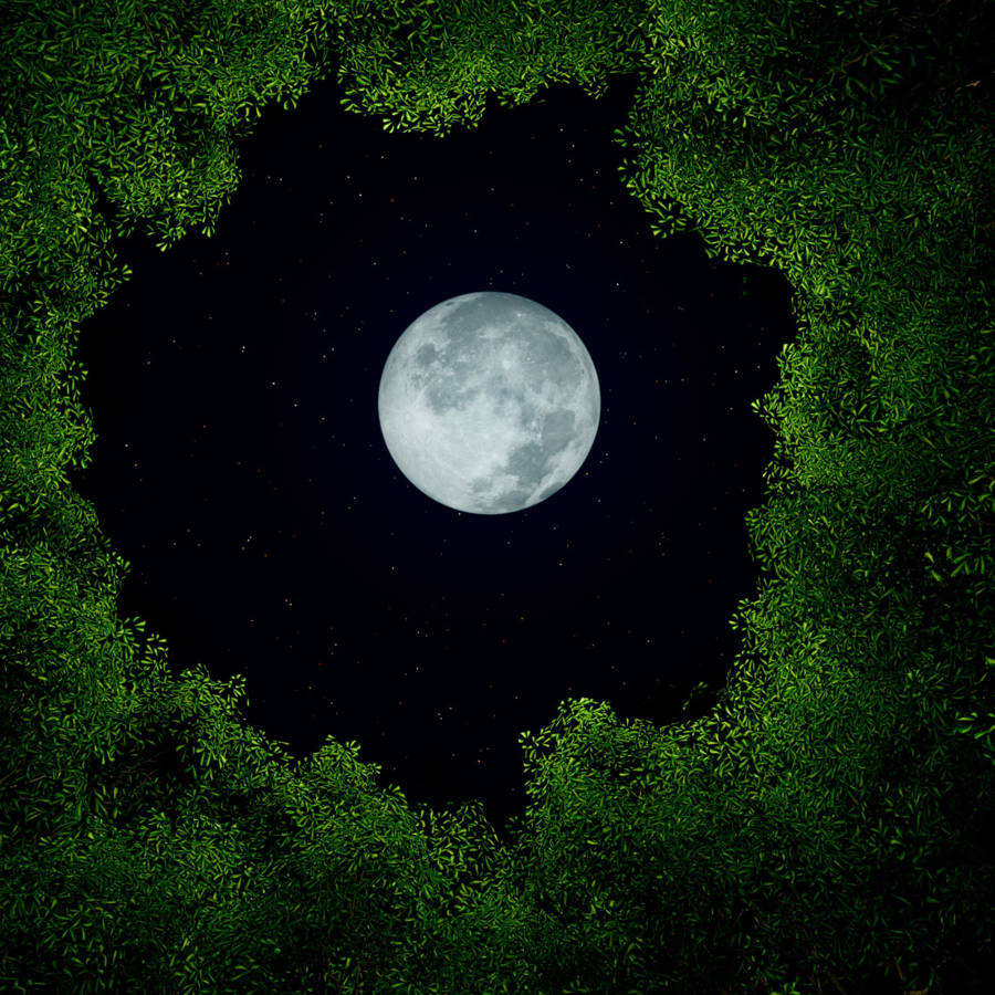 Luna llena de octubre 2023: la Luna cazador se acompañará este fin de semana de un eclipse lunar