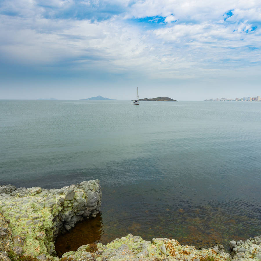 ¿Por qué se muere el paraíso del Mar Menor en Murcia?