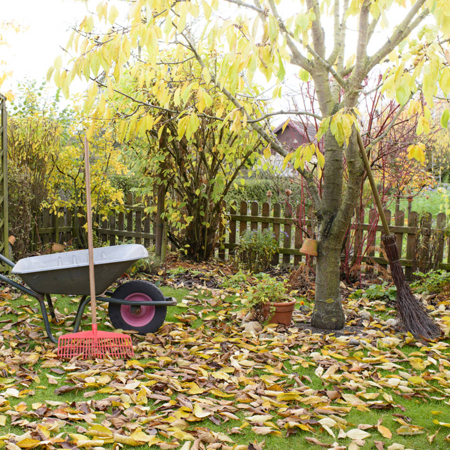 En otoño hay que limpiar el jardín