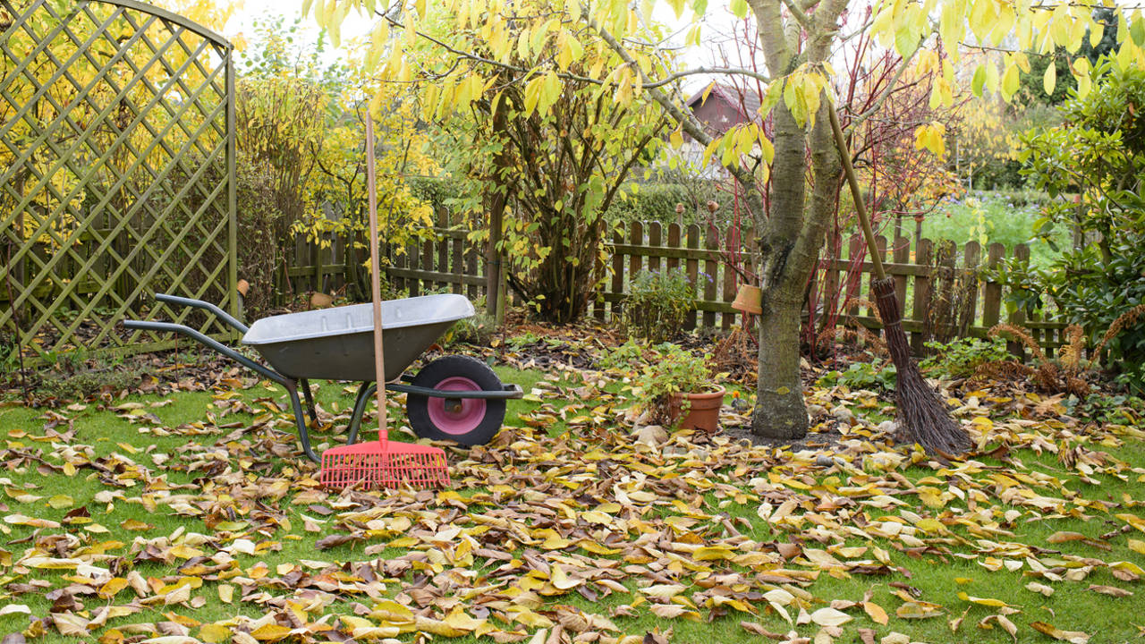 Jardín en otoño
