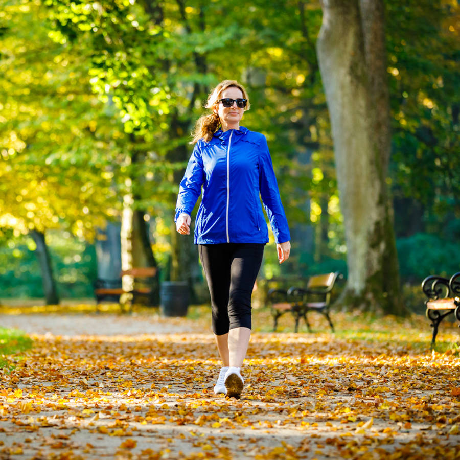 Por qué deberías dar más de dos paseos al día