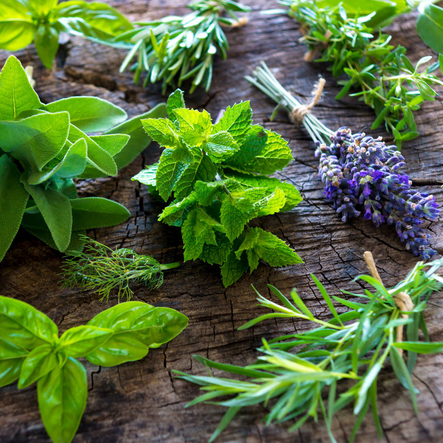 Qué tomar para el dolor: 7 remedios naturales muy potentes para calmar dolencias comunes