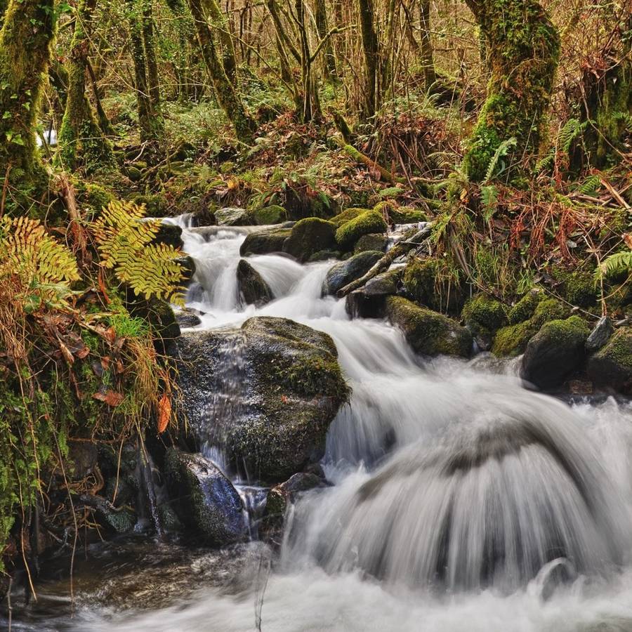 El parque natural más bonito para visitar en noviembre, según National Geographic