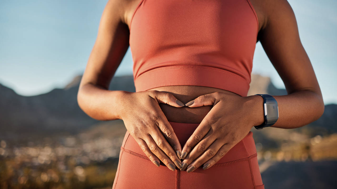 barriga