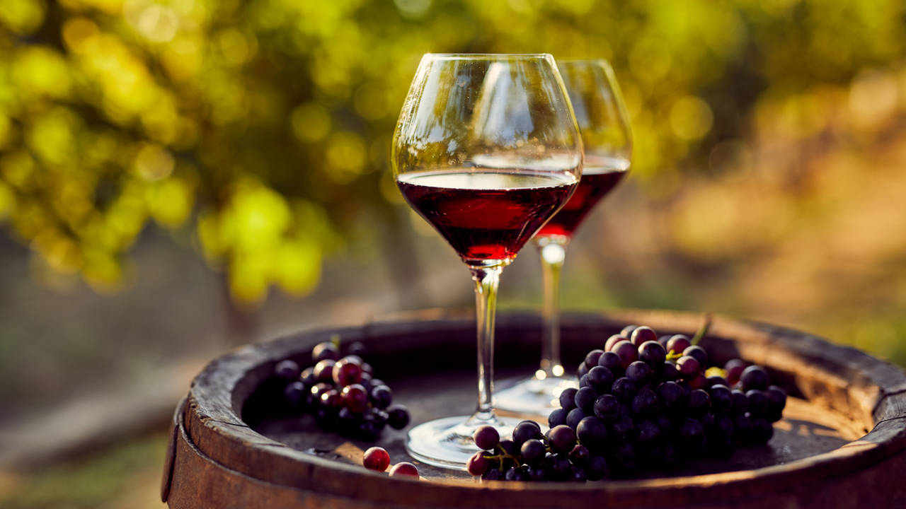 Un nuevo estudio explica por qué el vino tinto causa dolores de cabeza y no es solo por el alcohol