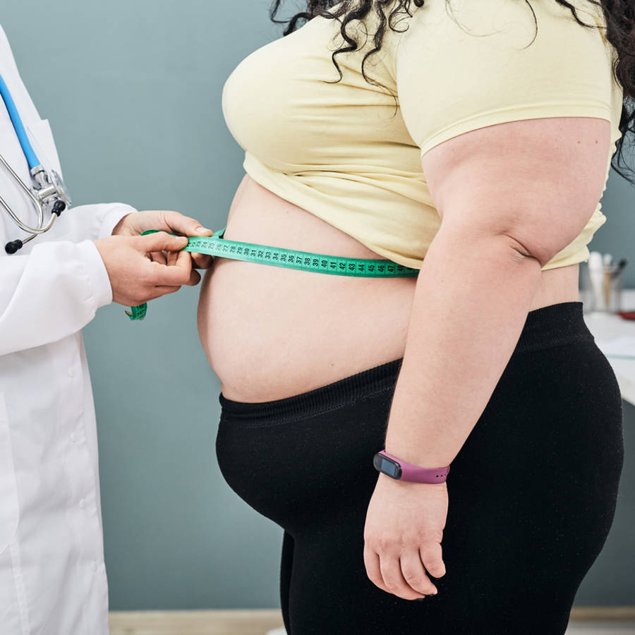 Síndrome cardiovascular-renal-metabólico: un nuevo problema asociado a la grasa abdominal