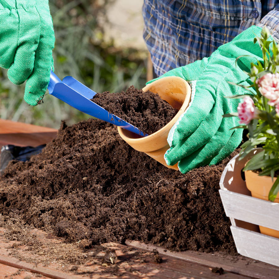 Sustrato para plantas y para el huerto: qué es, tipos y cómo elegir el adecuado