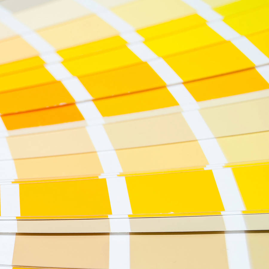 Color amarillo: qué significa, cómo influye en el hogar y por qué se regalan flores amarillas 