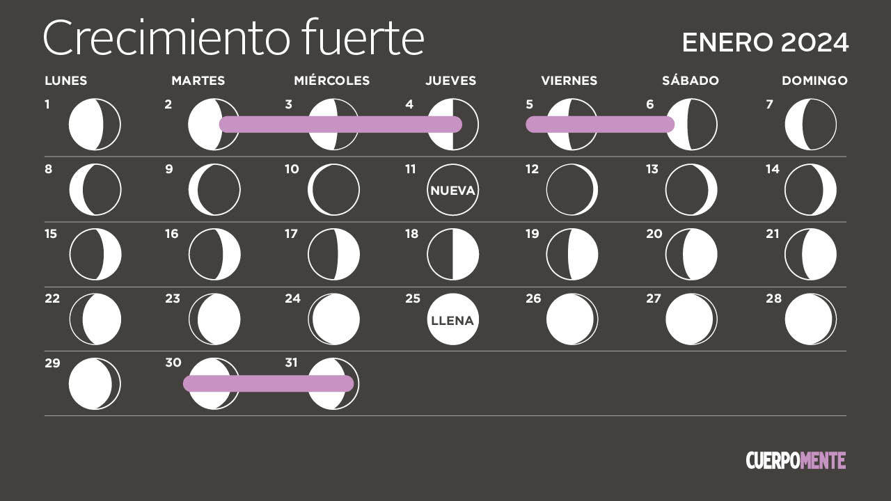 Calendario lunar 2024 en Argentina: cuándo serán las próximas fases lunares, Todas las fechas de Luna llena, Página