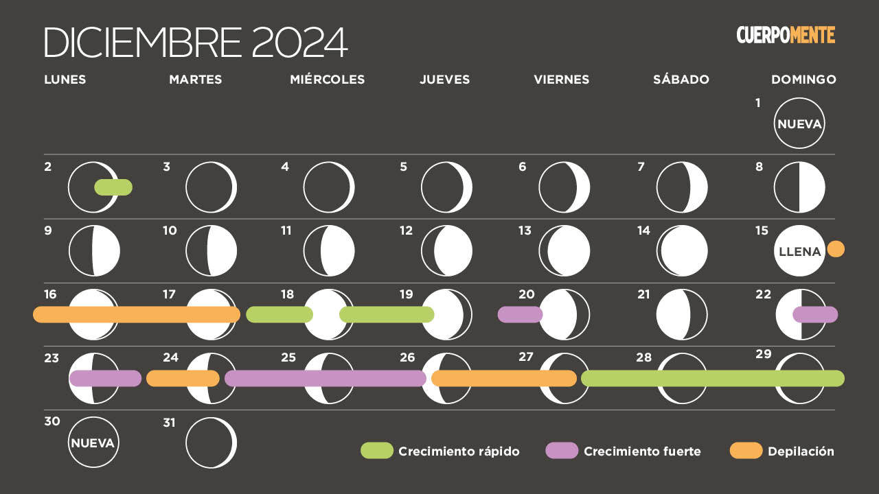 Calendario lunar de diciembre 2024: Fases lunares, eclipses y lluvia de  estrellas