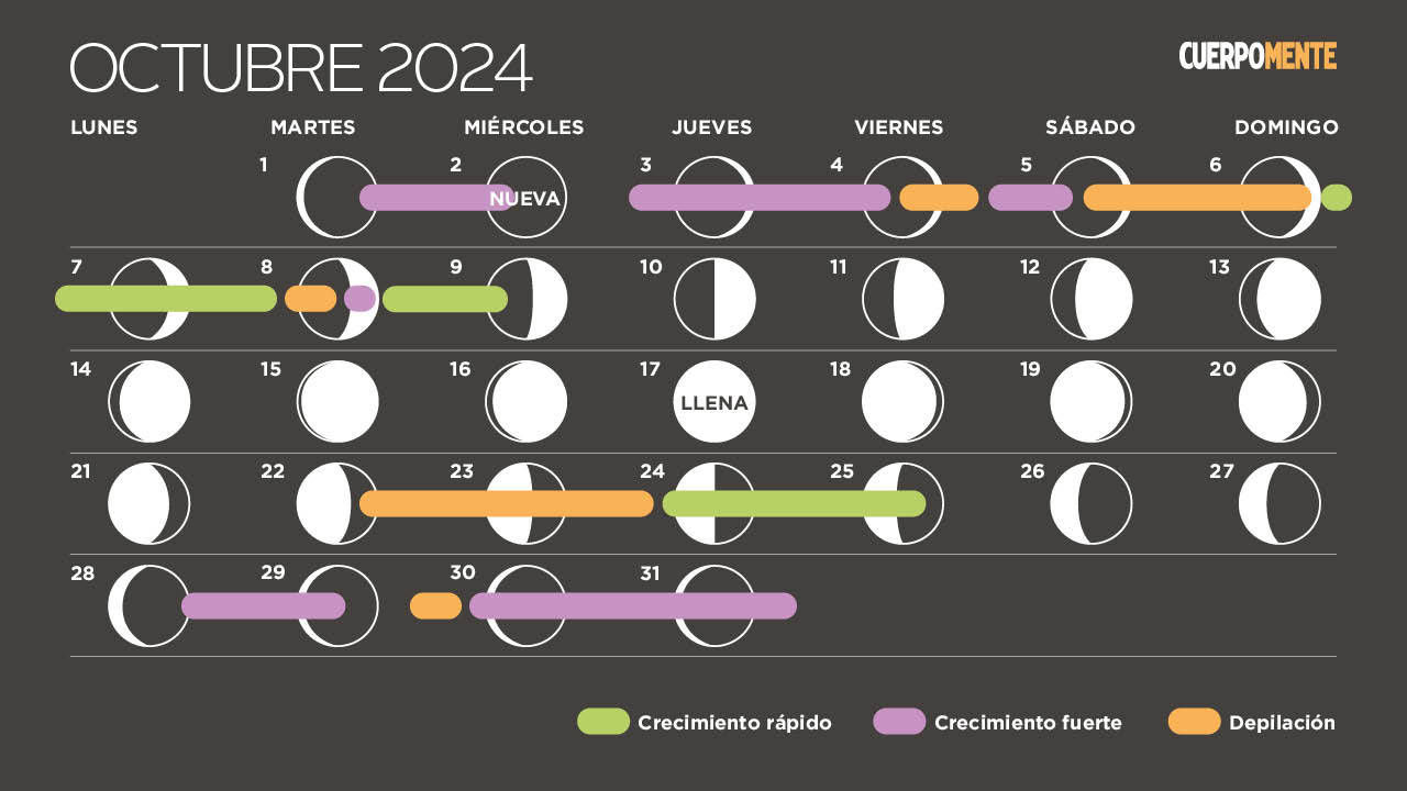 Calendario lunar de octubre 2024: Fases lunares, eclipses y lluvia de  estrellas