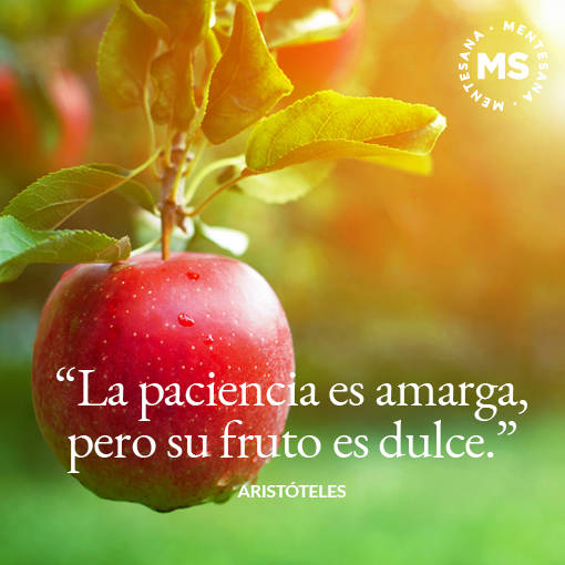 21. "La paciencia es amarga, pero su fruto es dulce." Aristóteles 