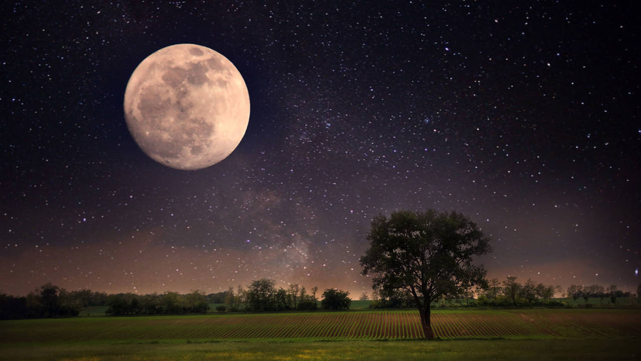 La Luna de Lobo 2024, la primera luna llena del año cómo ver la luna