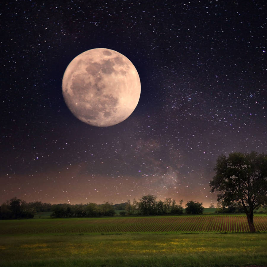 La Luna de Lobo 2024, la primera luna llena del año: cómo ver la luna llena en todo su esplendor
