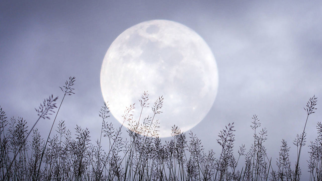 Luna llena de febrero 2024 o Luna de nieve, una microluna llena de magia